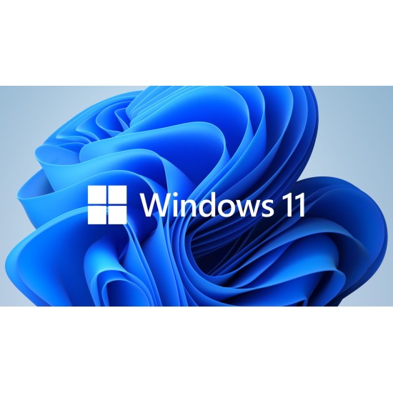 Windows 11 Professional 64 Bit OEM *Digital Download*